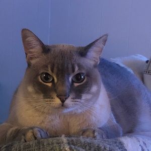 Meet your Posher, Stacy